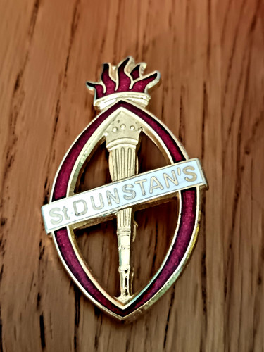 Vintage enamel nursing badge - enamel,
