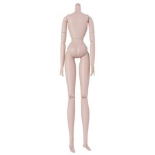 1/6 Doll Jointed Nude BJD