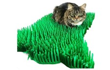 Premium Green Tissue Paper