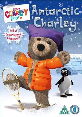 Little charley bear - charley, antarctic