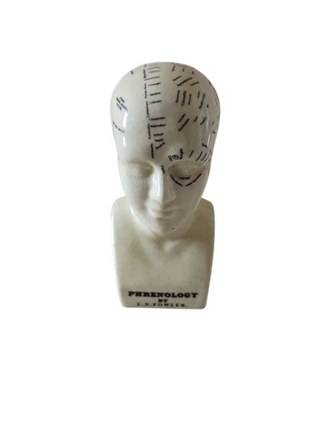 Phrenology head fowler 6 - head, 6"