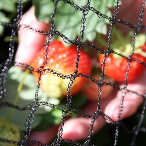 20m heavy duty - 2m-20m, fruit