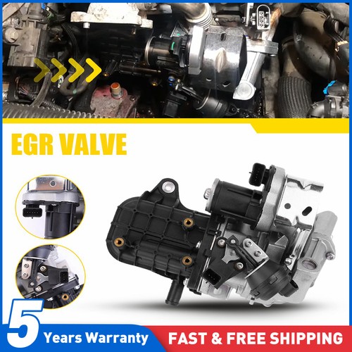 Egr valve module cooler for - egr,