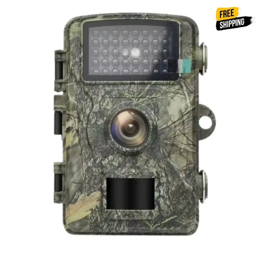 Wildlife trail camera - wildlife,