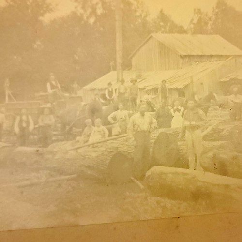 Vintage 1890s logging - vintage, camp