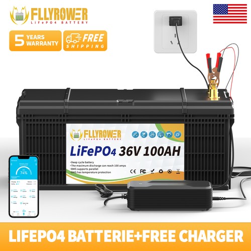36v 100ah lithium - 100ah, lifepo4