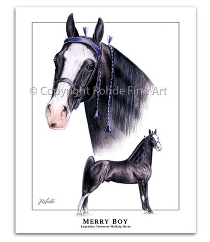Tennessee walker walking horse - tennessee,