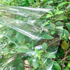 Roll Protective Transparent