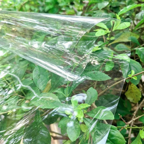 Roll protective transparent - protective,