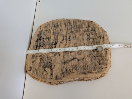 Flat shaped driftwood - #68.,