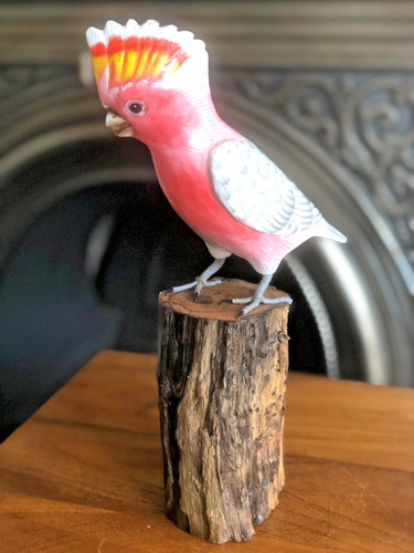 Carved wooden cockatoo bird - carved, on