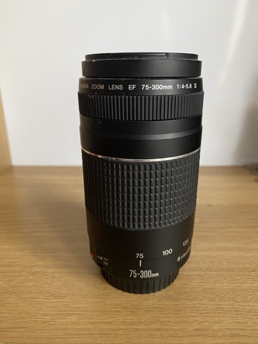 Canon zoom lens 300mm - canon,
