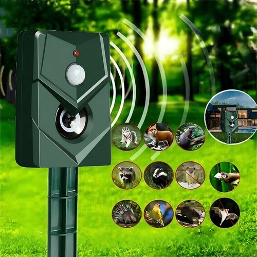 Ultrasonic cat dog fox - ultrasonic,