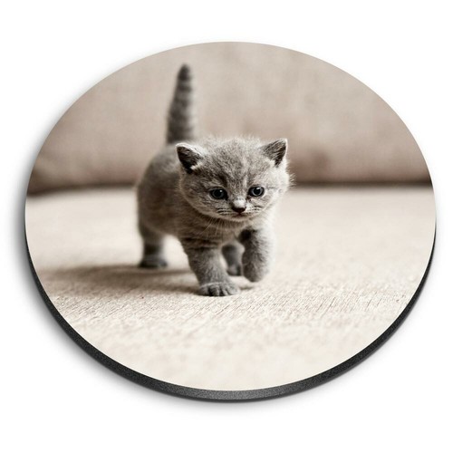 Round mdf magnets british - mdf,