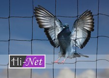 Garden Netting 5m x 20m 50mm (2") Anti Bird Heavy Duty Pigeon Net Plant