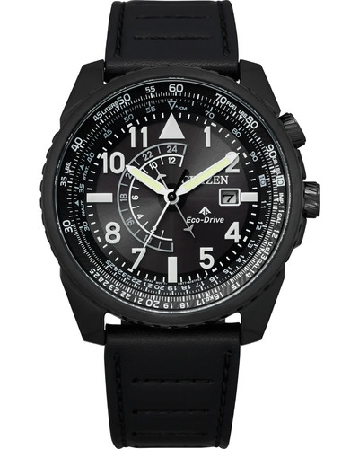 New citizen promaster - new,
