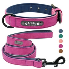Padded Leather Dog Collar and
