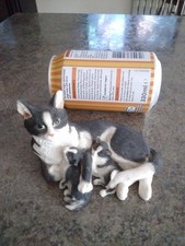 leonardo collection cat with