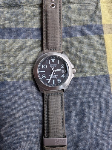 Citizen pro master - mears),