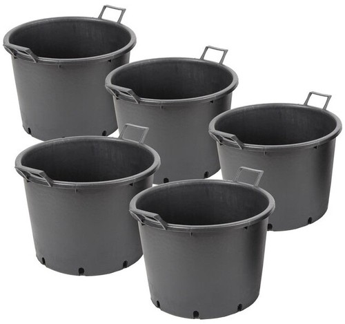 Litre large plant - 5,