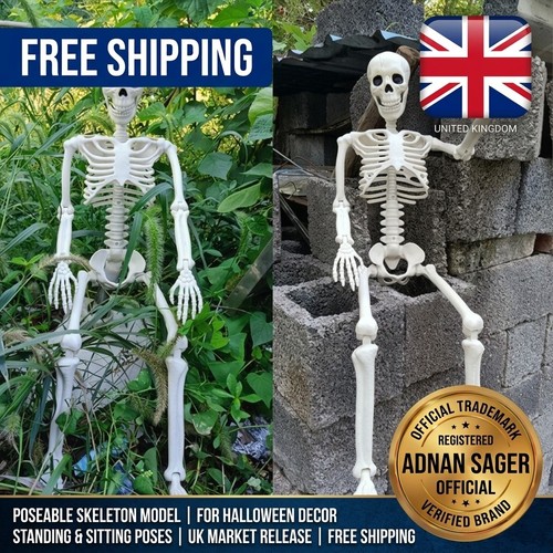 Giant life size - size, skeleton