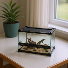 UK Reptile Terrarium Breeding