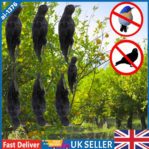 Realistic hanging dead - 1~5x,