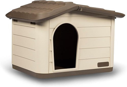 Rosewood outdoor cat dog and - rosewood, cat,