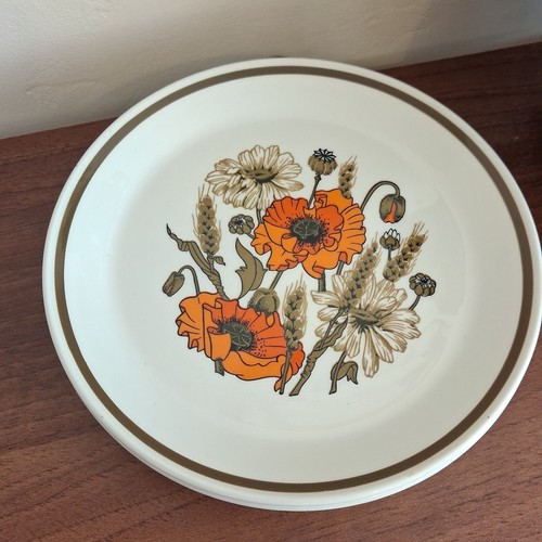 Meakin poppy dinner plates - dinner,