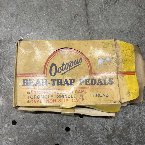 Nos octopus bear - octopus, trap