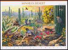 Mint sheet sonoran desert - mint,