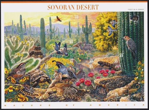Mint sheet sonoran - sheet,