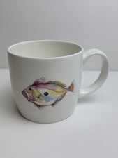 John Dory Fish illustration