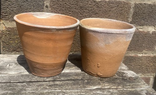 Vintage terracotta plant - 2,