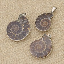 Charm Natural Ammonite Shell Fossil Pendant DIY Jewelry Necklace Craft Gift 1pc