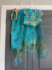 ⭐ Disney's Aladdin Princess