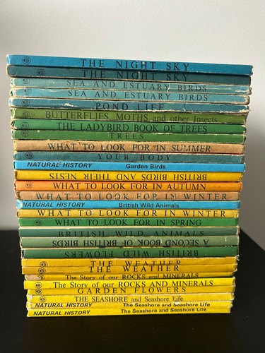 Series 536 vintage - vintage, ladybird