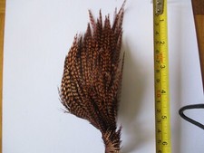 metz premium cock cape neck