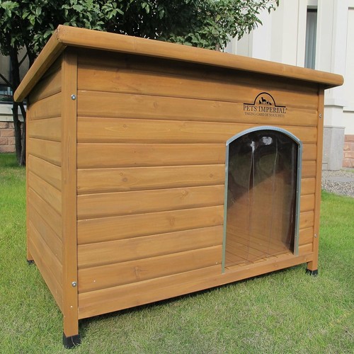 Norfolk insulated dog - norfolk,