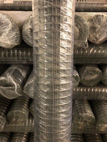 Welded chicken wire mesh - chicken,