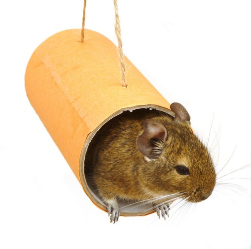 Orange chewchewbs pet cage - orange,