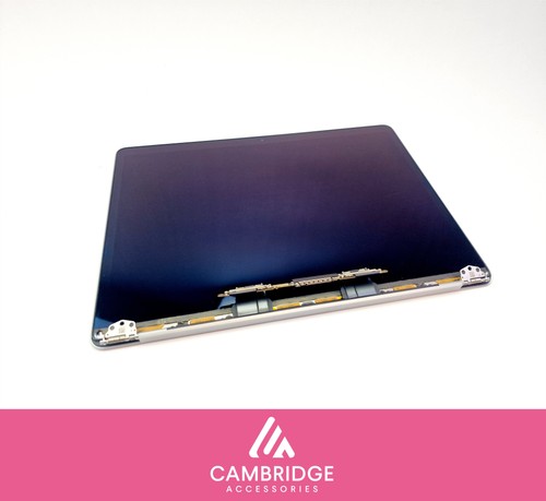 Poor macbook pro a1989 - macbook,