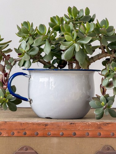 Vintage enamel chamber - vintage,
