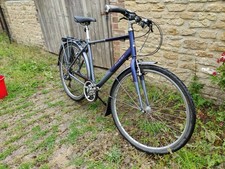 Raleigh Pioneer Large Frame