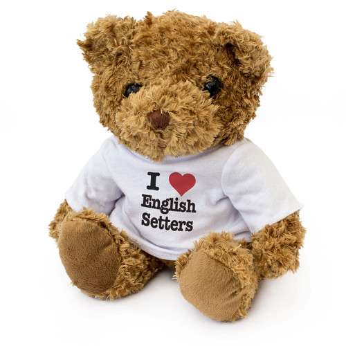 Love english setters teddy - english,