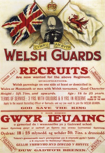 Large welsh guards - a3,