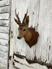 Antique Vintage Taxidermy Deer Head With Antlers On Oak Mount