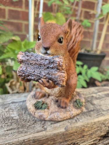 Red squirrel garden ornament - garden,