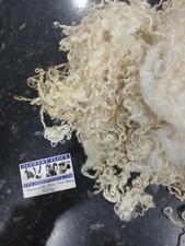 400 Grams Teeswater Ewe Raw