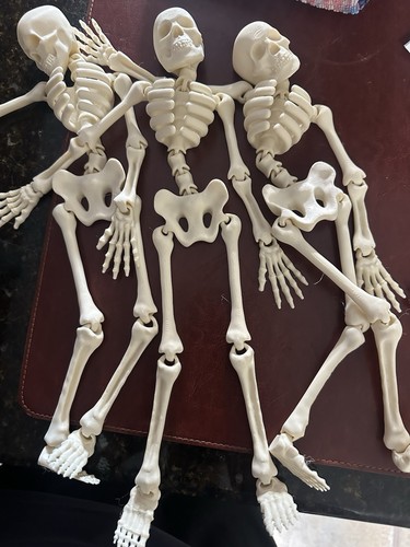 Flexi skeleton inches tall - flexi, tall-